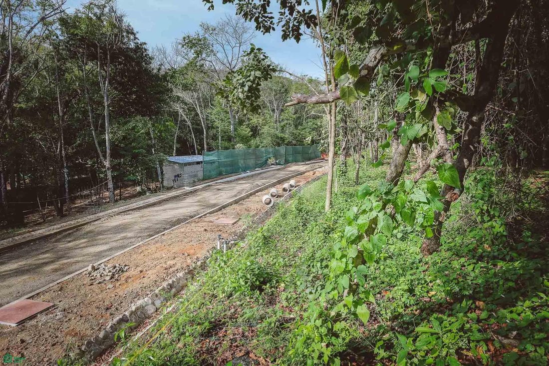 Land in Cuajiniquil, Santa Cruz, Costa Rica 1 - 18459494