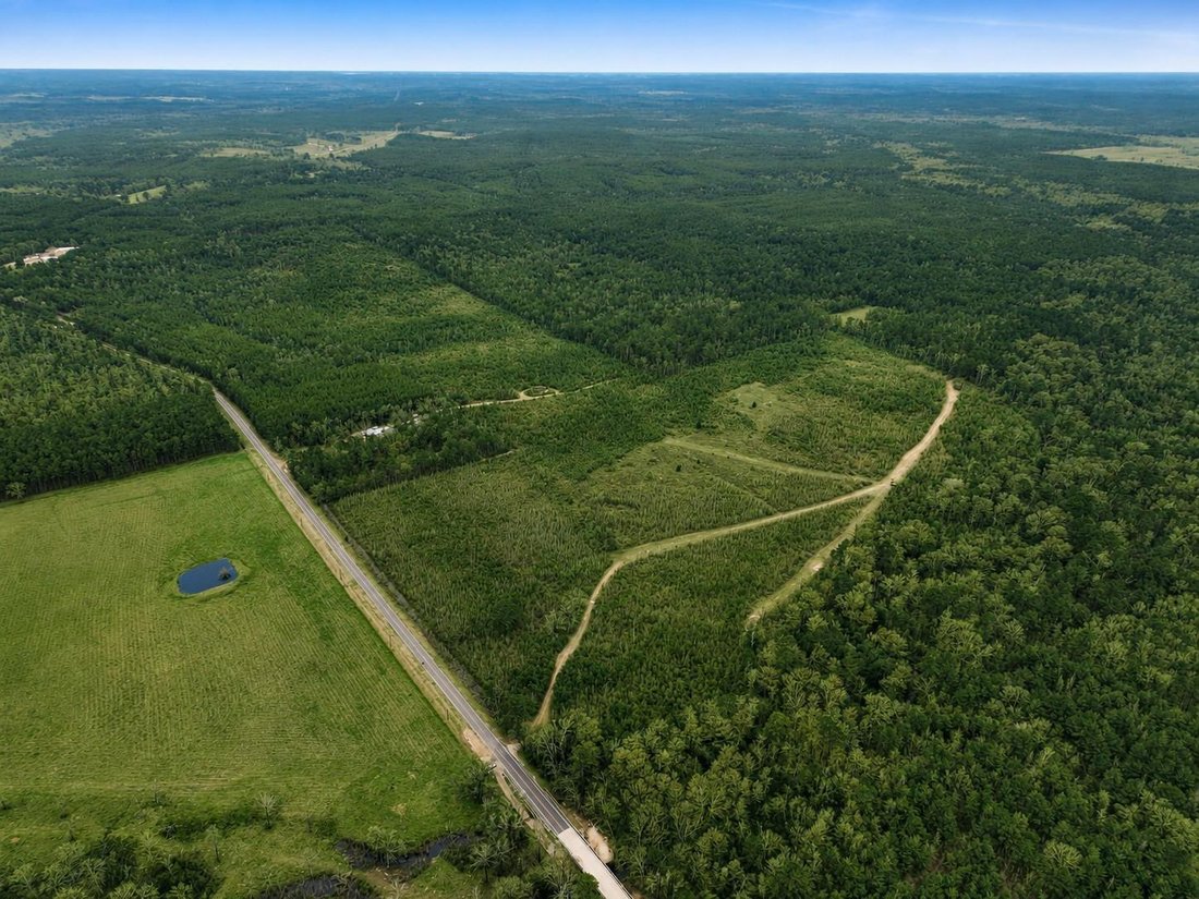 Land in Newton, Texas, United States 2 - 18577927