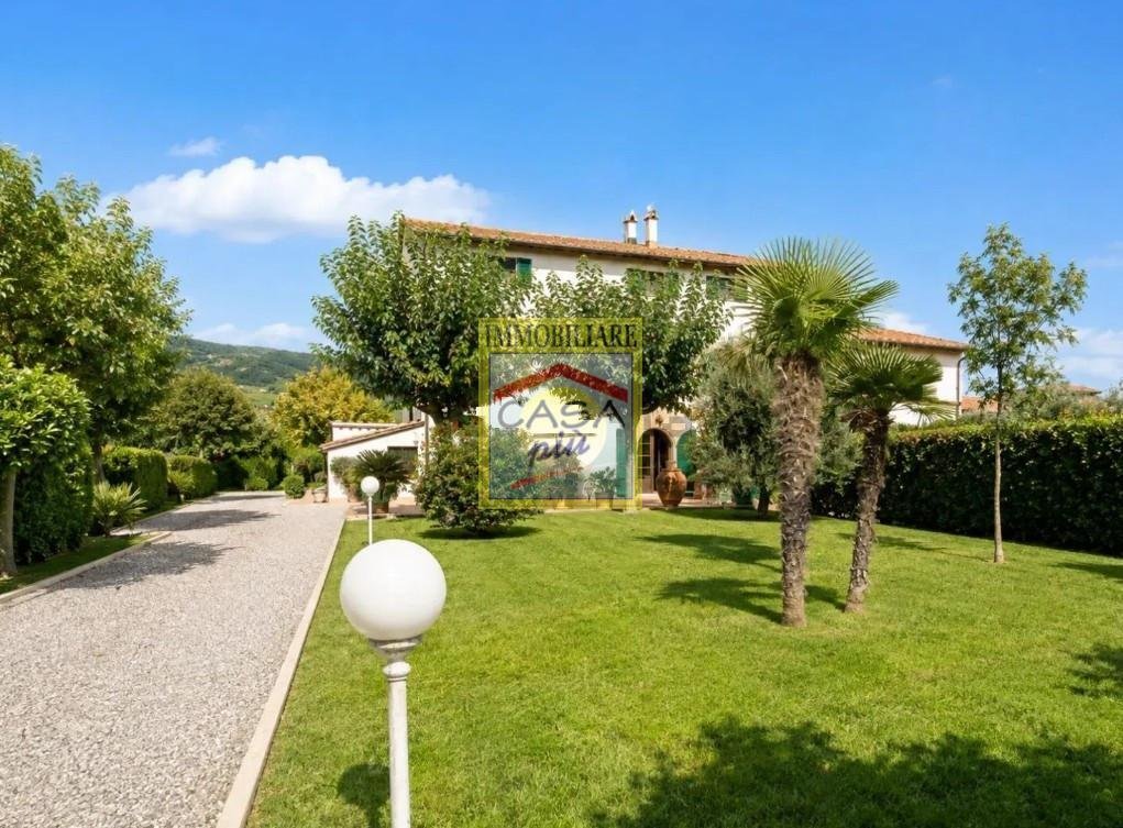 San Frediano a Settimo, Cascina, Tuscany 1 - 14879915