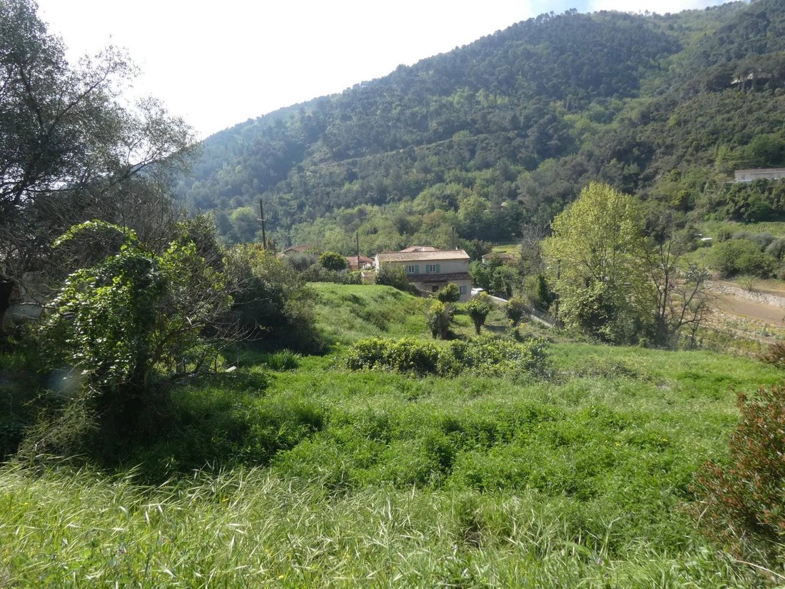 Land in Gorbio, Provence-Alpes-Côte d'Azur, France 3 - 18436979