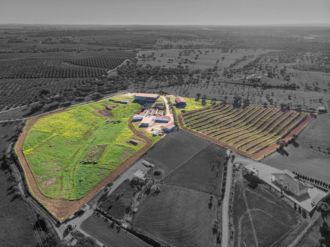 Casa di campagna a Malagueira e Horta das Figueiras, Distretto di Évora, Portogallo 4 - 18574141