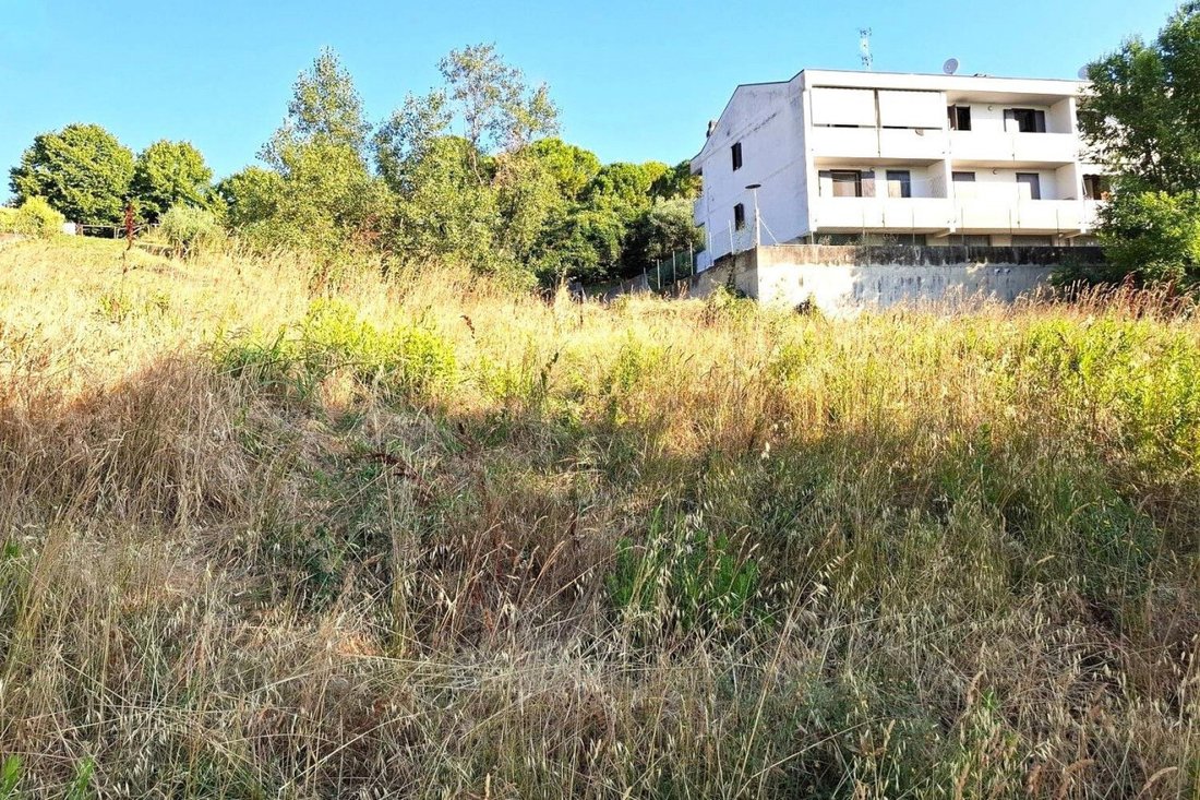 Land in Bertinoro, Emilia-Romagna, Italy 5 - 18578272