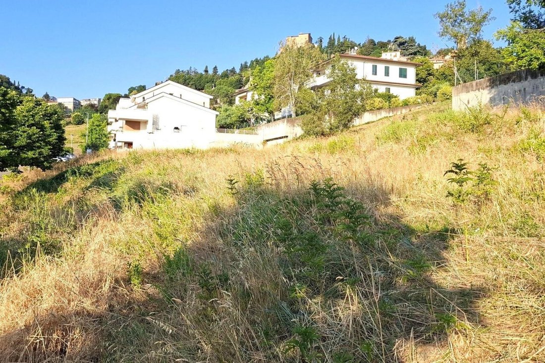 Land in Bertinoro, Emilia-Romagna, Italy 4 - 18578272