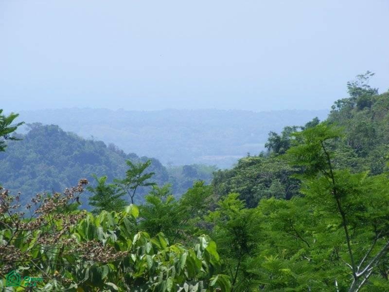 Land in Carara, San José Province, Costa Rica 5 - 17811445