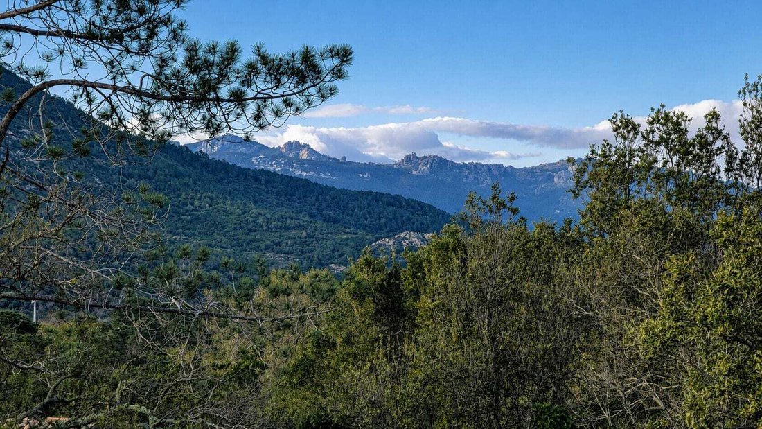 House in Sotta, Corsica, France 3 - 18576137