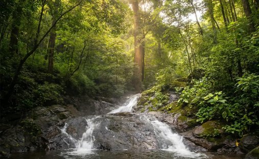 Land in Estrada, Guanacaste Province, Costa Rica 1