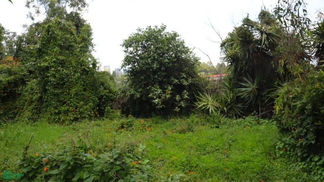 Land in Mexico City, Mexico 1 - 18288468