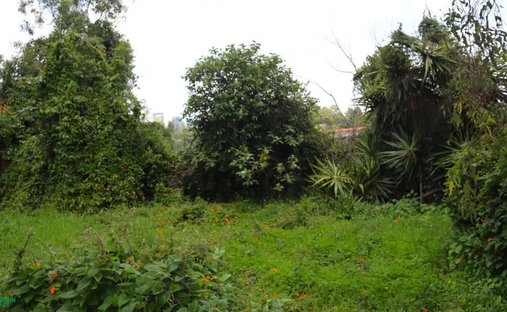 Land in Mexico City, Mexico 1