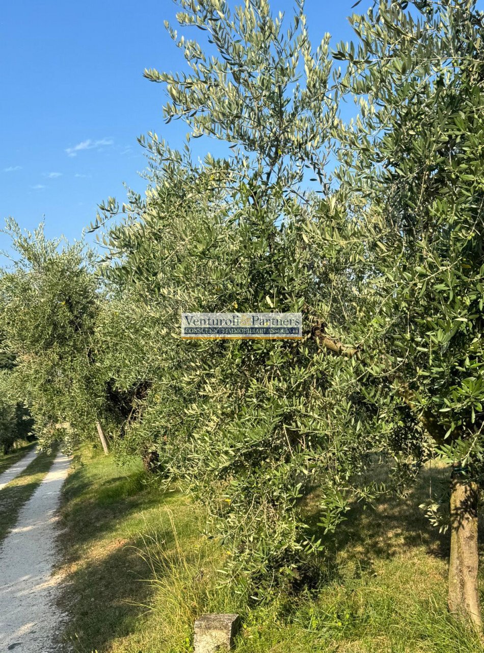 Estate in San Felice del Benaco, Lombardy, Italy 4 - 18578261