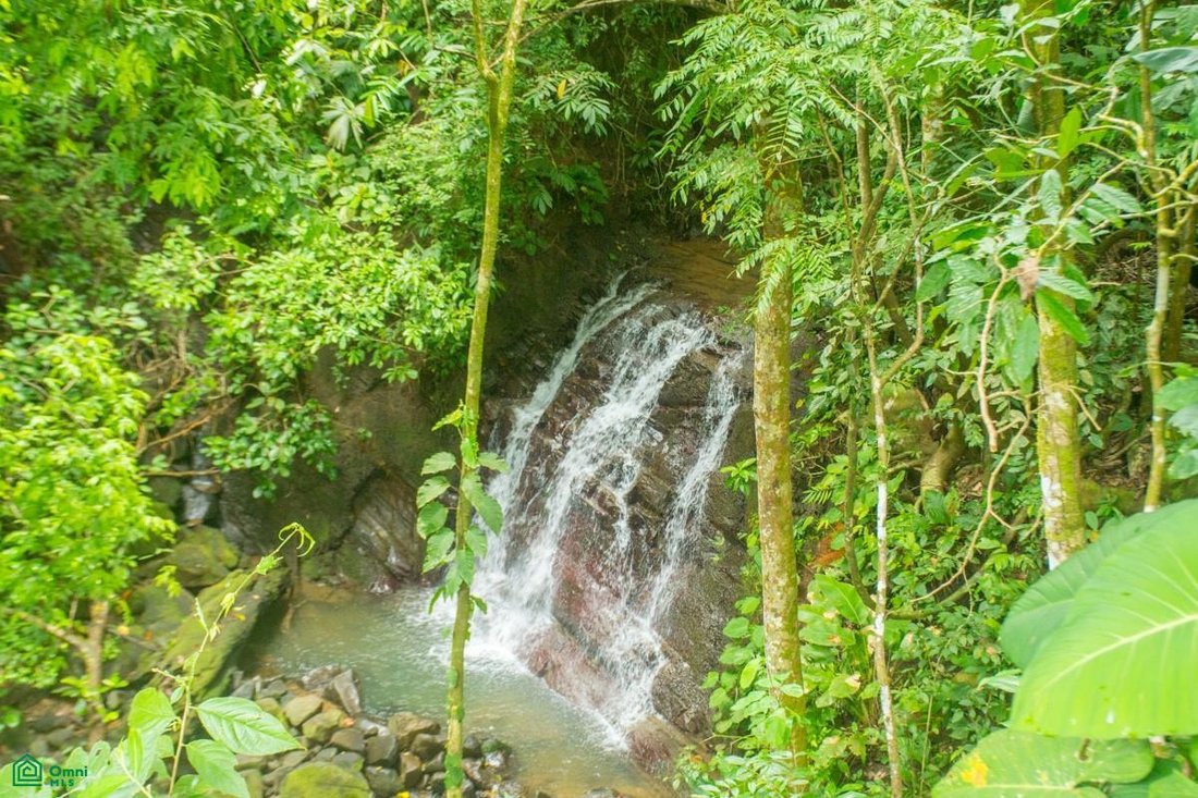 House in Dominicalito, Puntarenas Province, Costa Rica 2 - 18542756