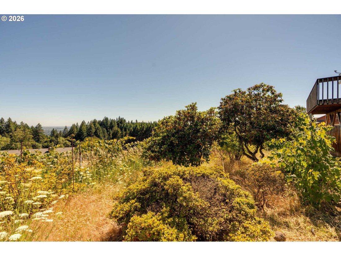 House in Newberg, Oregon, United States 5 - 18576485