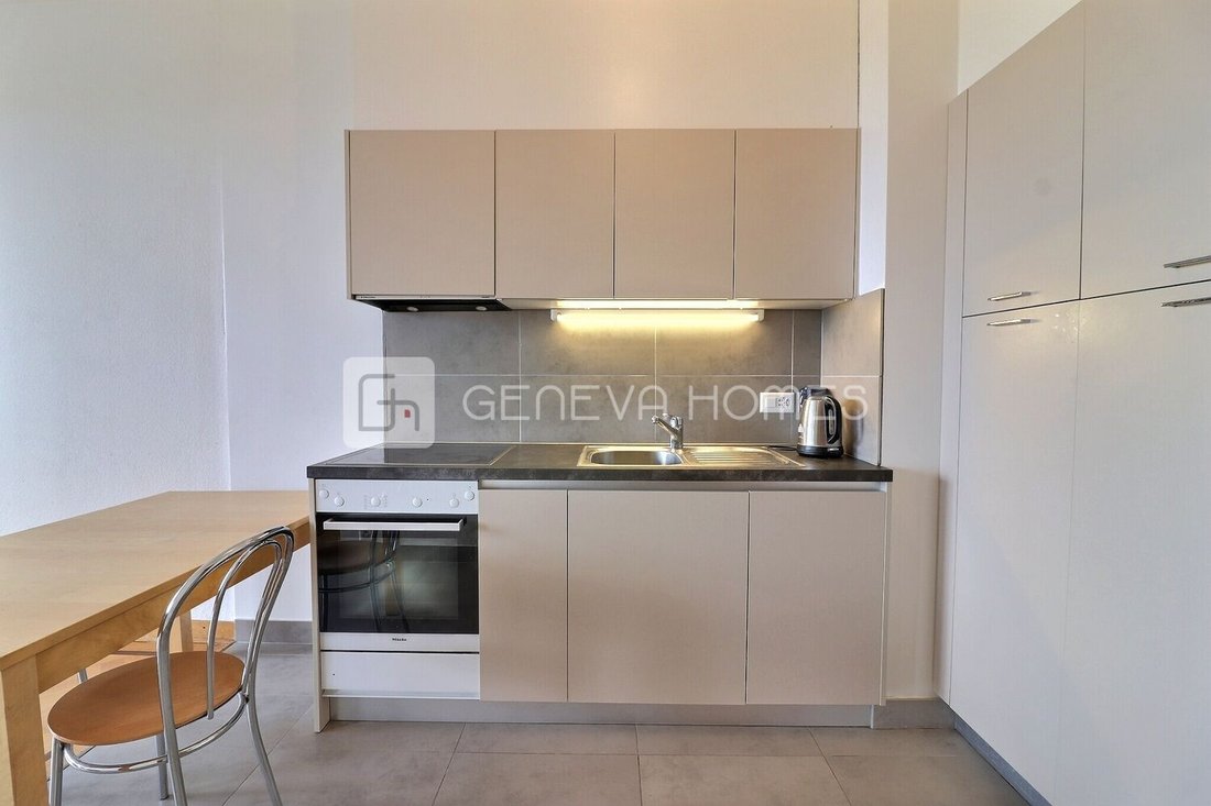 Apartment in Grand-Saconnex, Genève, Switzerland 5 - 18575922
