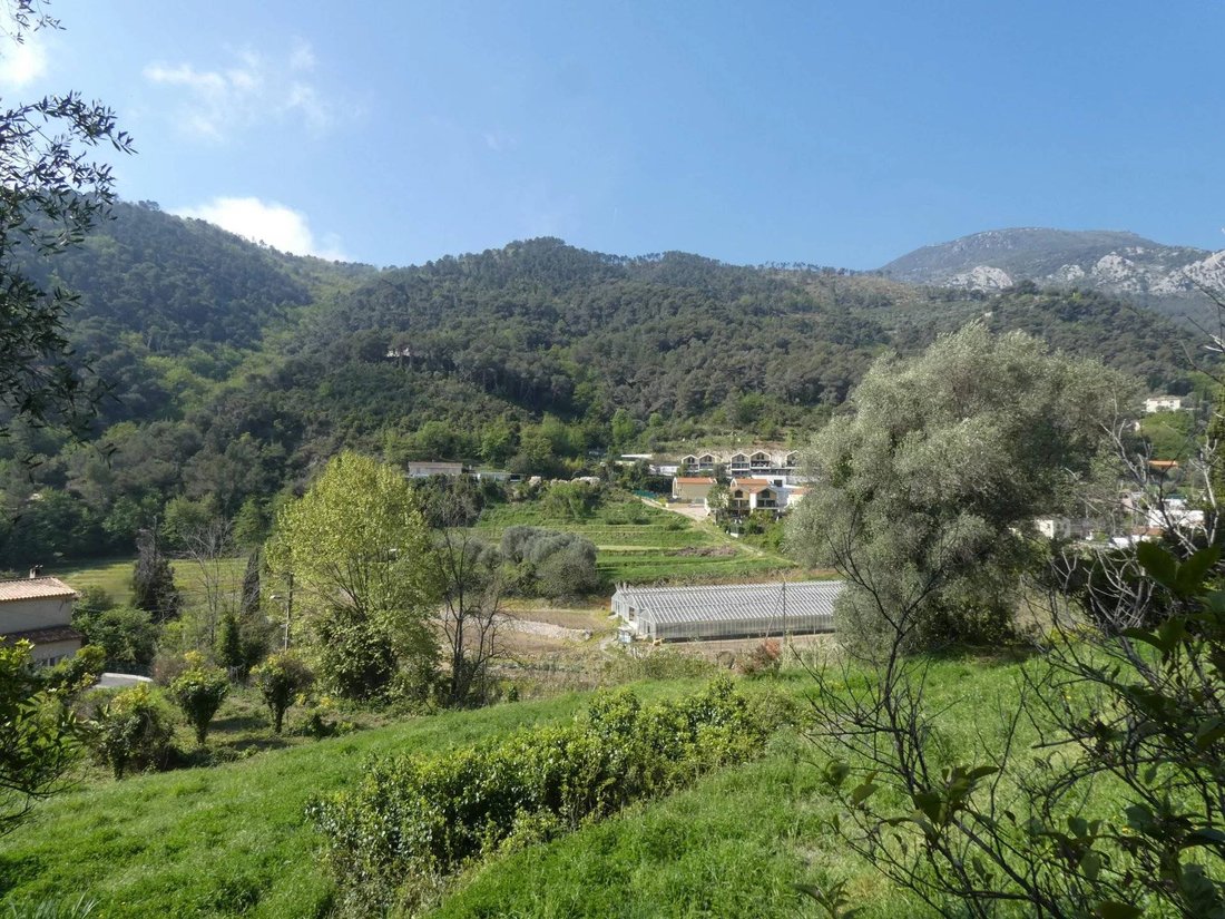 Land in Gorbio, Provence-Alpes-Côte d'Azur, France 2 - 18436979
