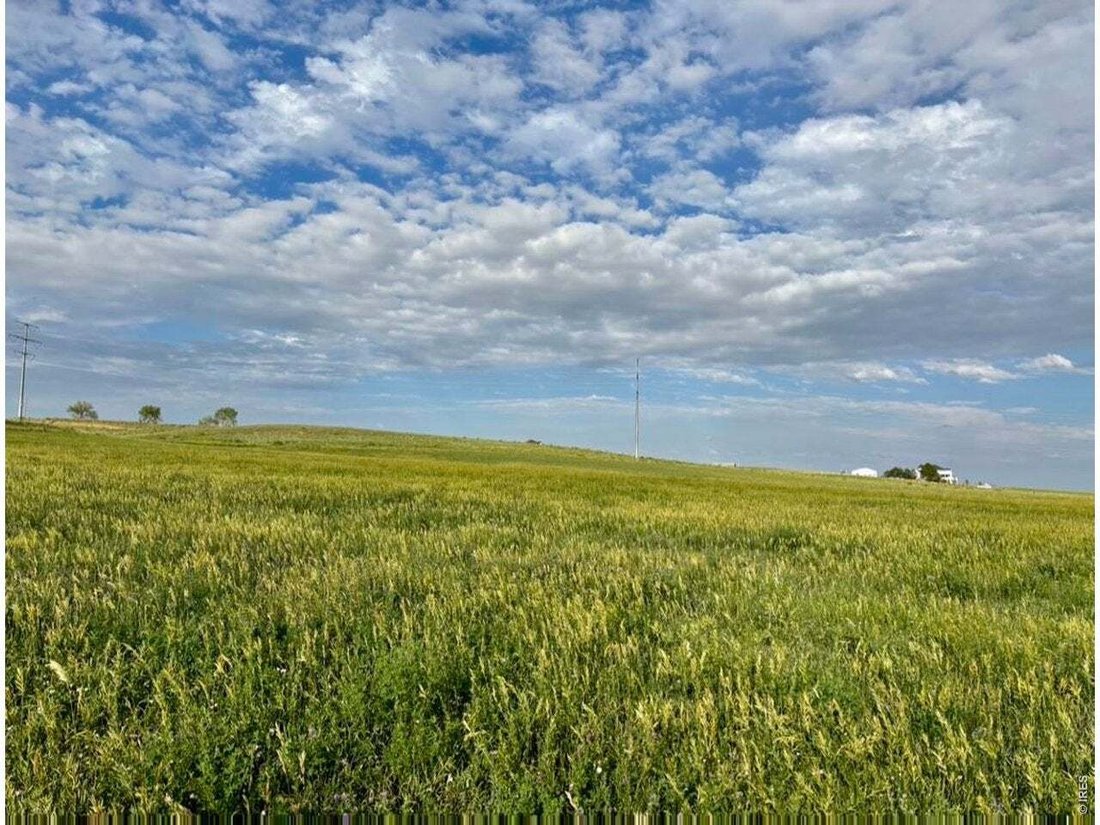 Wellington, Colorado, United States 3 - 18576494