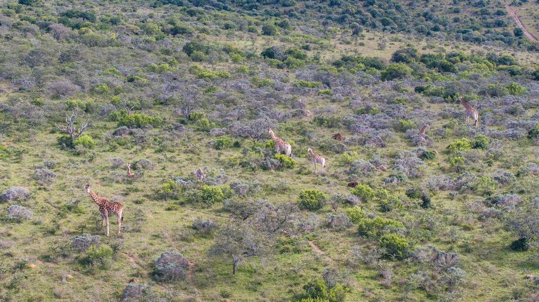Farm Ranch in Grahamstown, Eastern Cape, South Africa 4 - 18575276