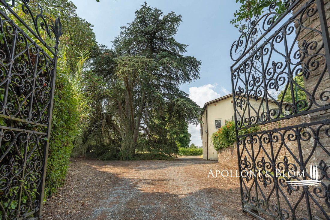House in Scacciapensieri - Vico Alto, Siena, Tuscany 2 - 18577674