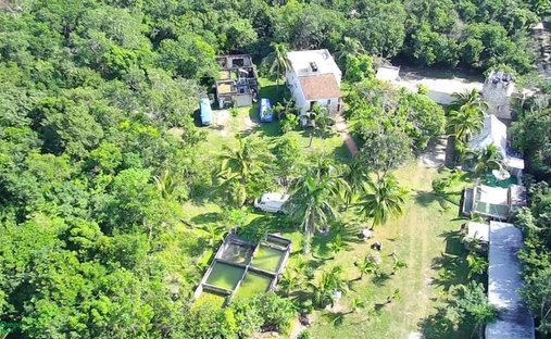 Land in Alfredo V. Bonfil, Quintana Roo, Mexico 1