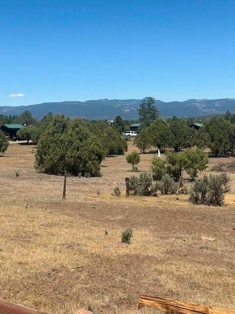 Los Ojos, New Mexico, United States 3 - 18576744