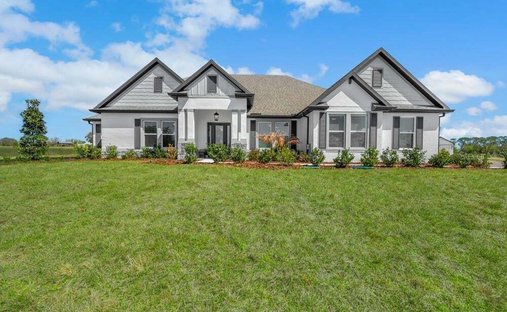 House in Fruitland Park, Florida, United States 1