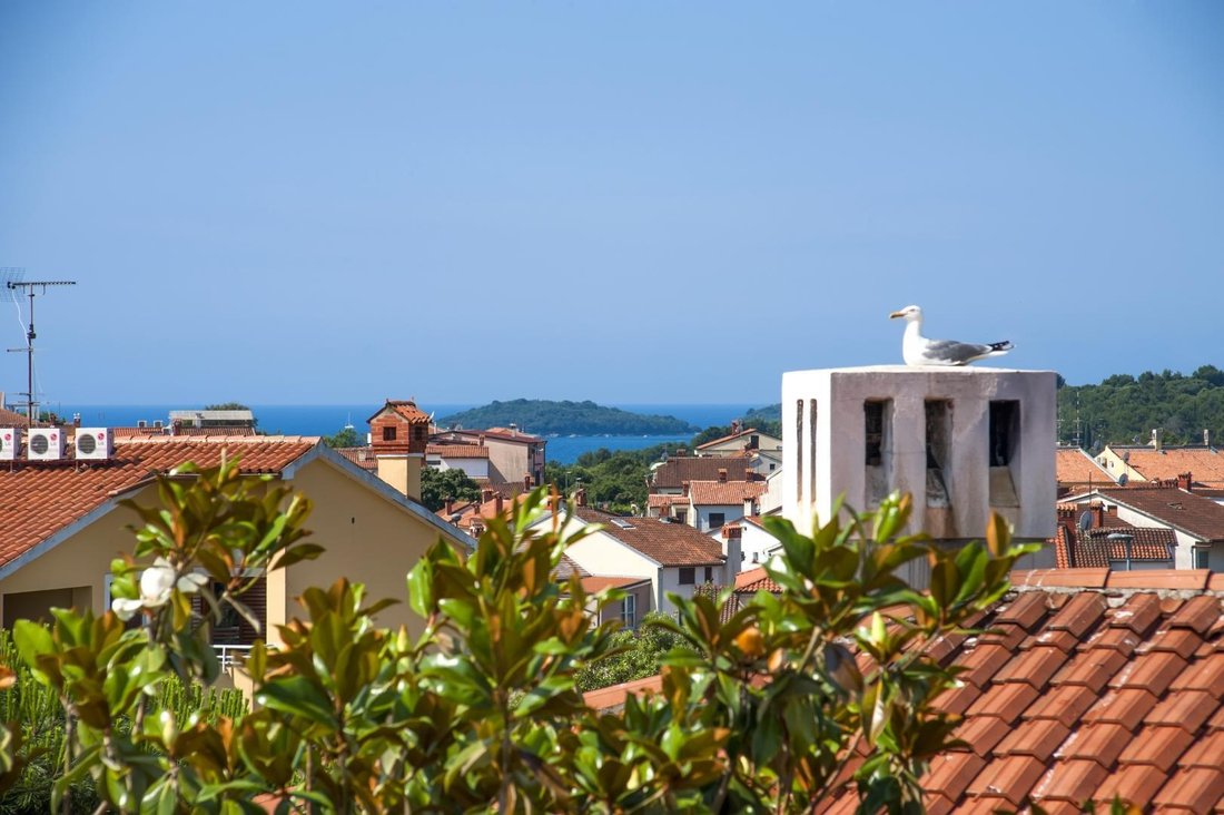 Rovinj, Istria County, Croatia 3 - 18578281