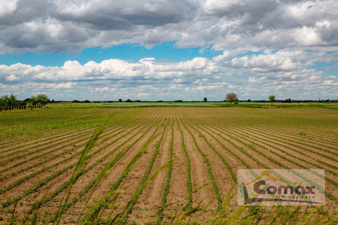 Land in Taglio di Po, Veneto, Italy 5 - 18578246