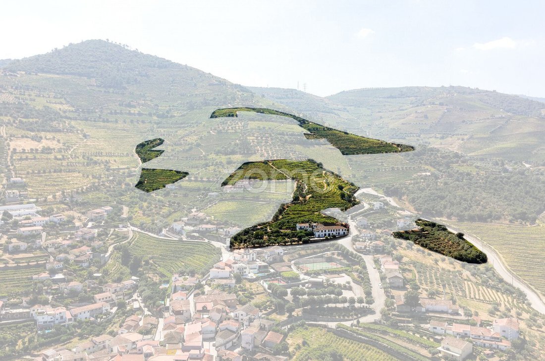 Finca in Folgosa, Viseu District, Portugal 5 - 18563451