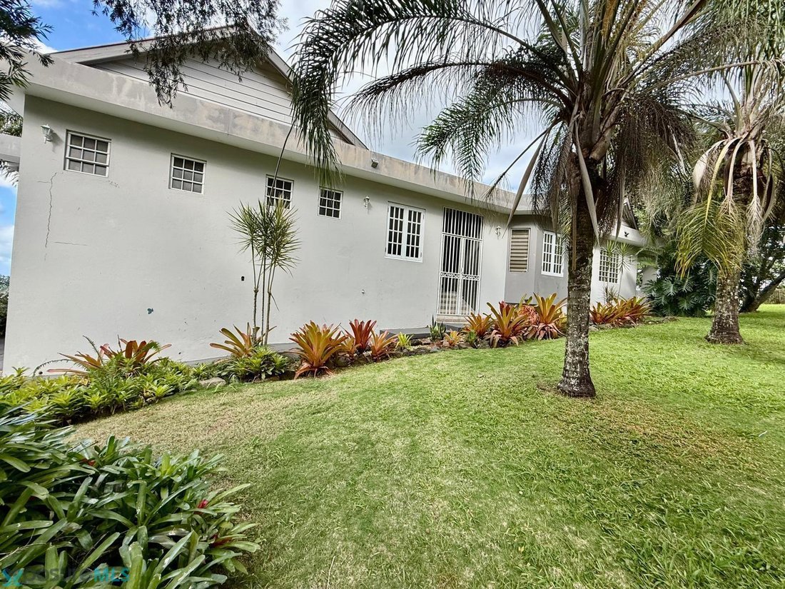 House in Morovis, Morovis, Puerto Rico 5 - 18574526