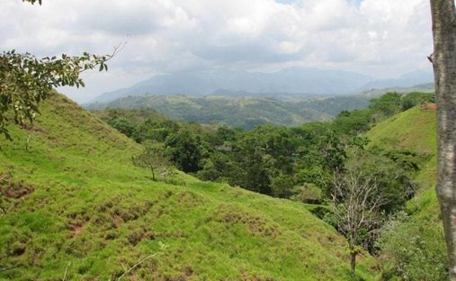 Terrain à Carara, San José, Costa Rica 1