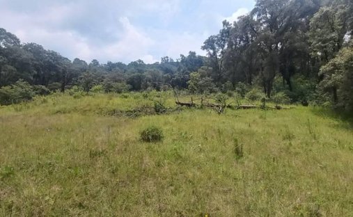 Land in Espíritu Santo, State of Mexico, Mexico 1