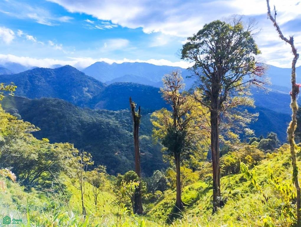 Land in Rivas, San José Province, Costa Rica 1 - 18575783