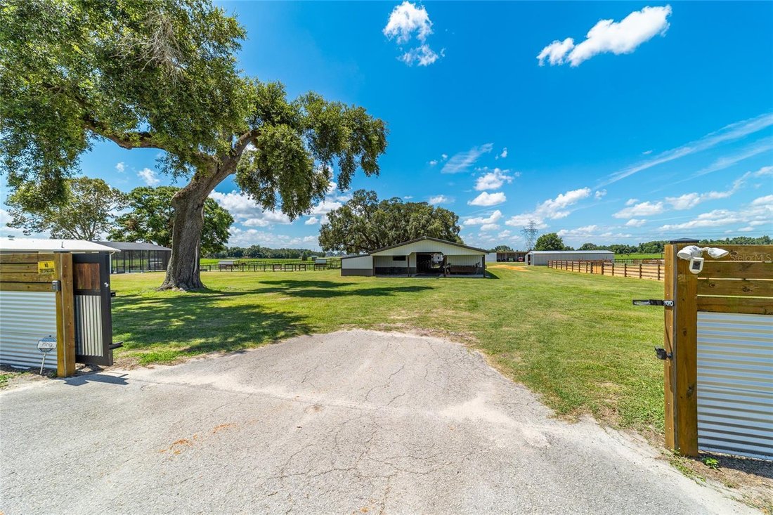 Farm Ranch in Wildwood, Florida, United States 5 - 18576681