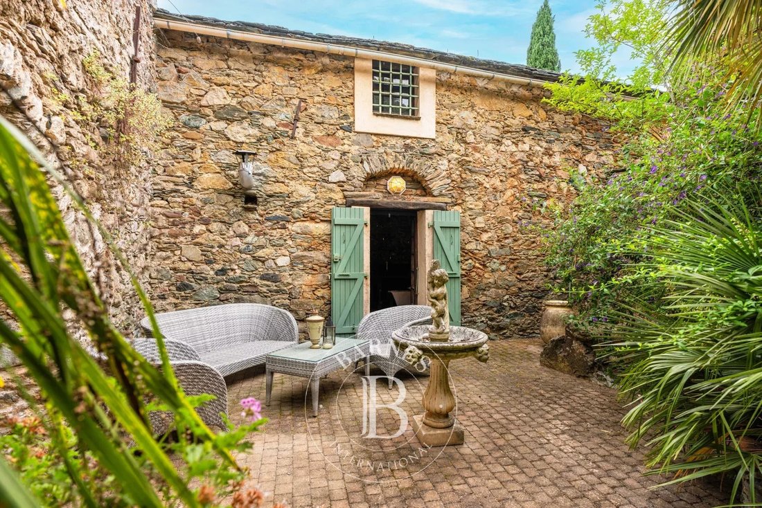 Altro a Oletta, Corsica, Francia 2 - 18575083