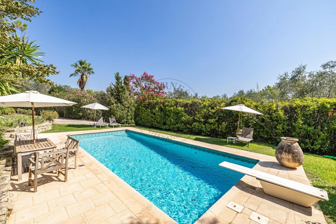 Villa in Valbonne, Provence-Alpes-Côte d'Azur, France 1 - 17042830