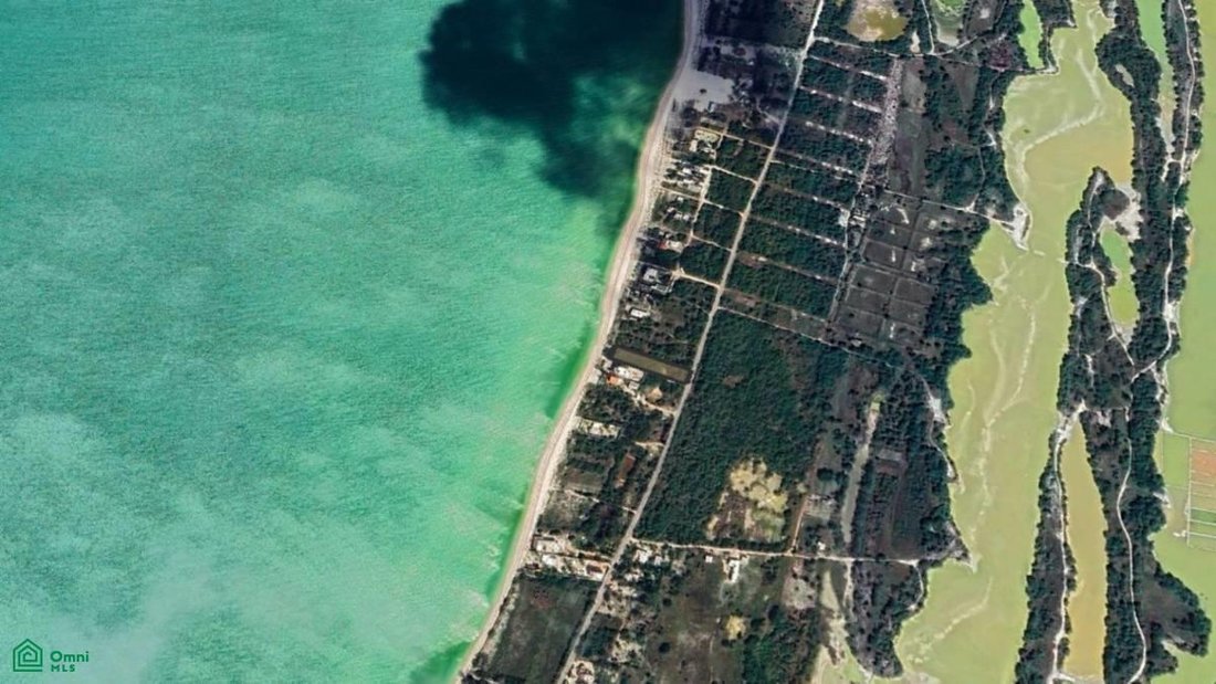 Land in Celestún, Yucatan, Mexico 4 - 18494525