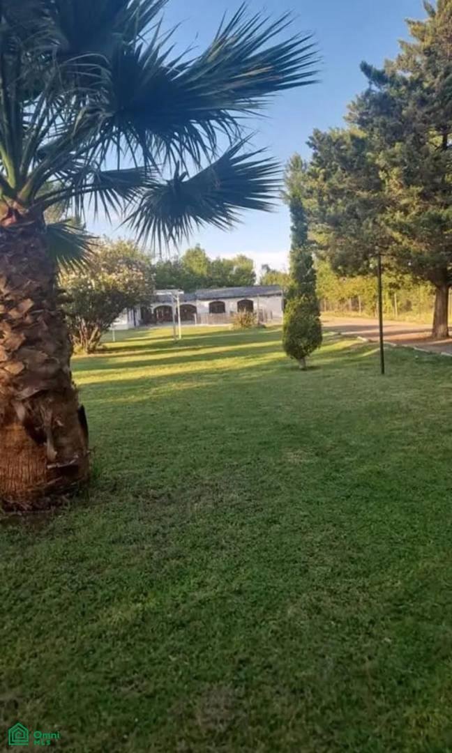 House in Mendoza, Mendoza Province, Argentina 3 - 18277531