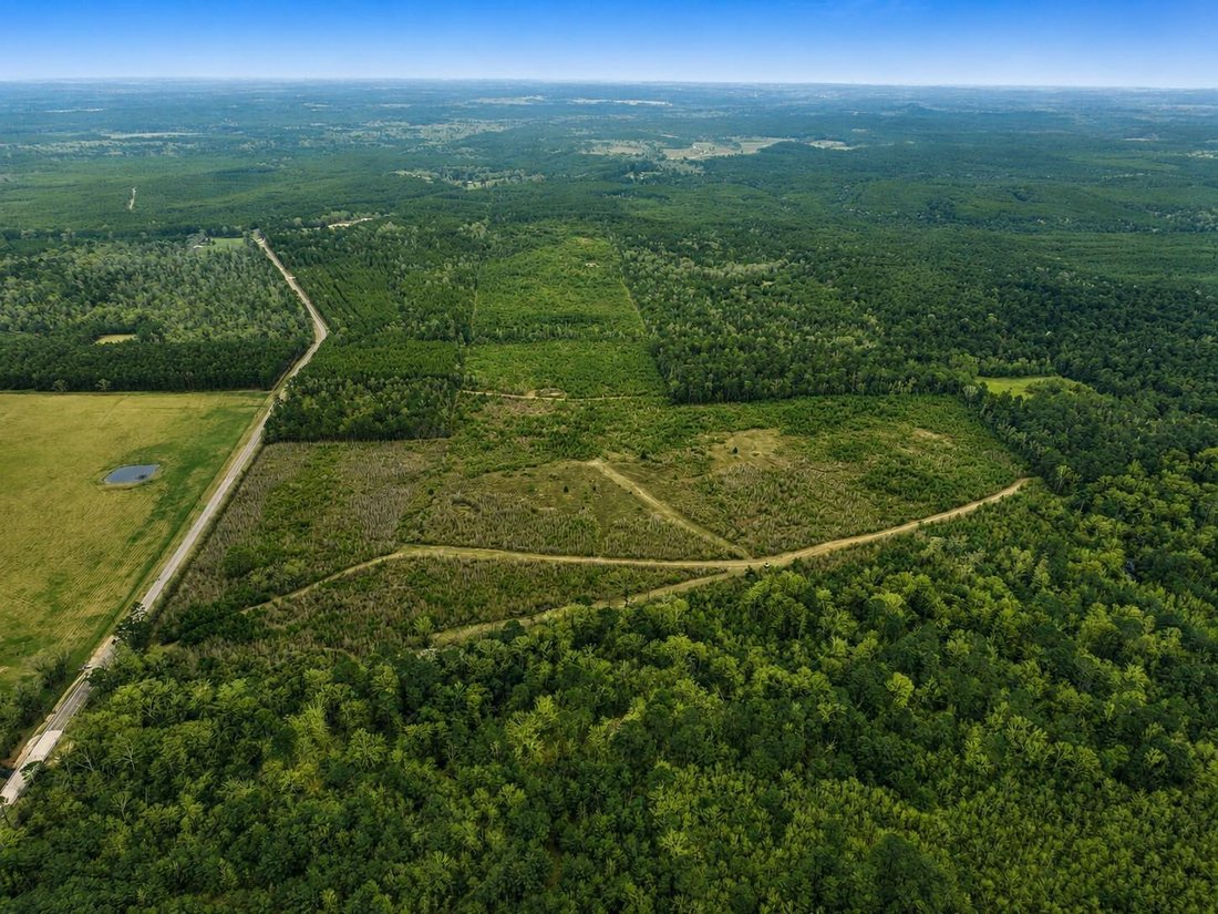 Land in Newton, Texas, United States 3 - 18577927