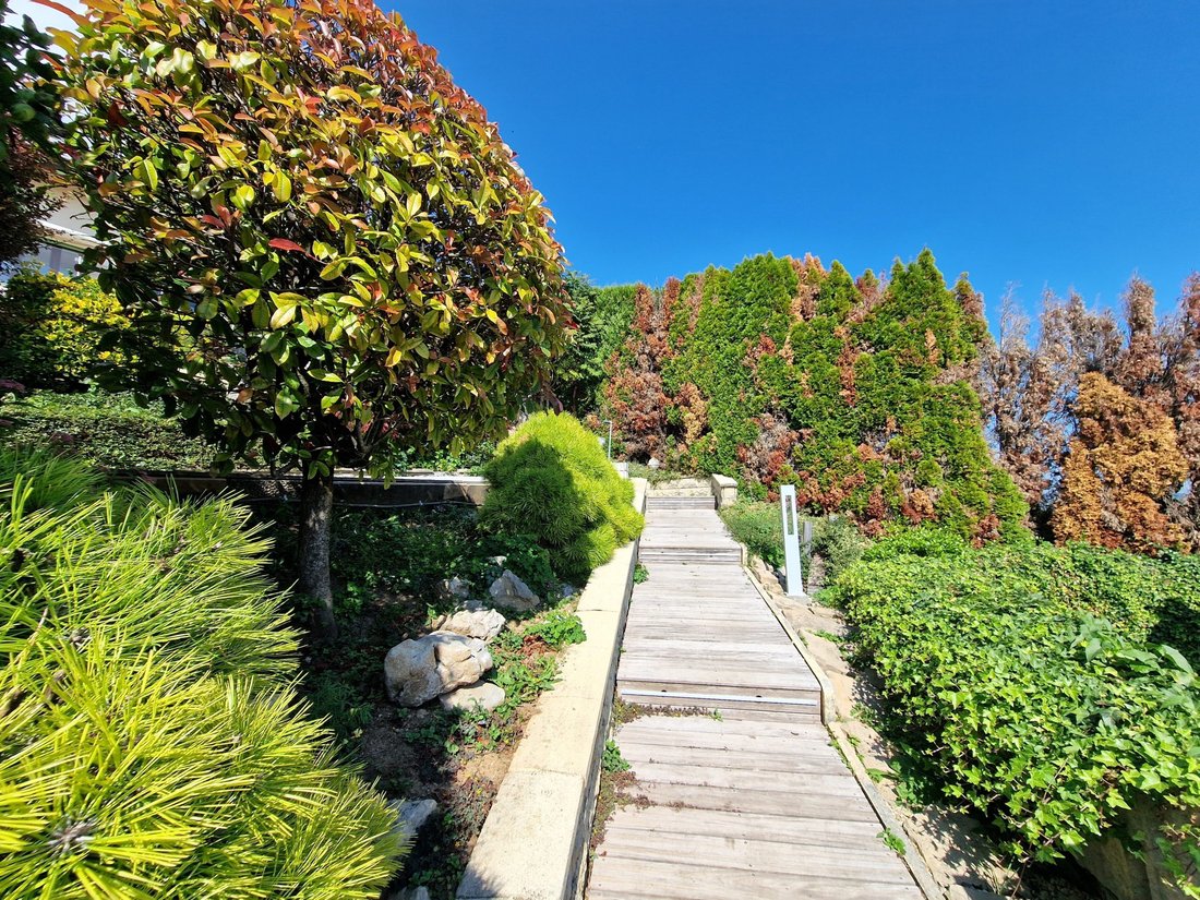Villa in Arzier-Le Muids, Vaud, Switzerland 3 - 18575955