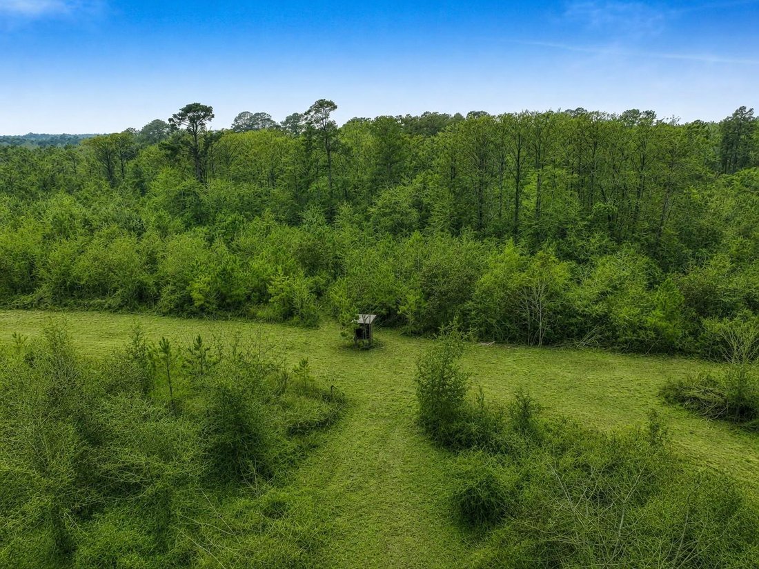 Land in Newton, Texas, United States 4 - 18577927