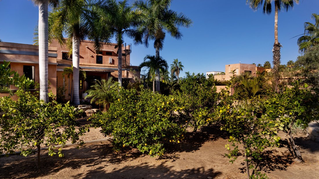 House in Todos Santos, Baja California Sur, Mexico 4 - 18574686