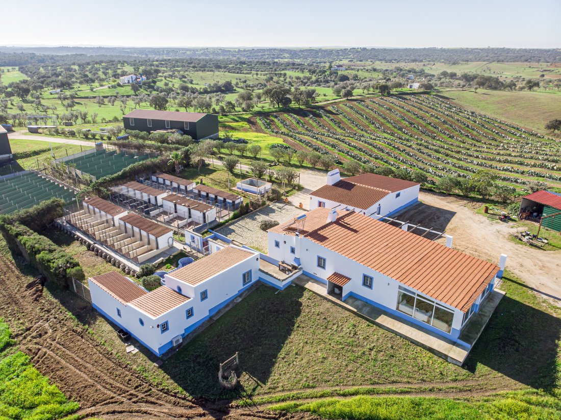 Casa di campagna a Malagueira e Horta das Figueiras, Distretto di Évora, Portogallo 1 - 18574141