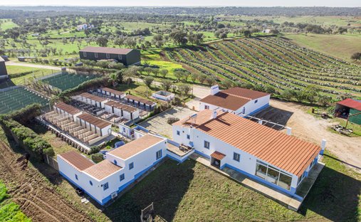 Casa di campagna a Malagueira e Horta das Figueiras, Distretto di Évora, Portogallo 1