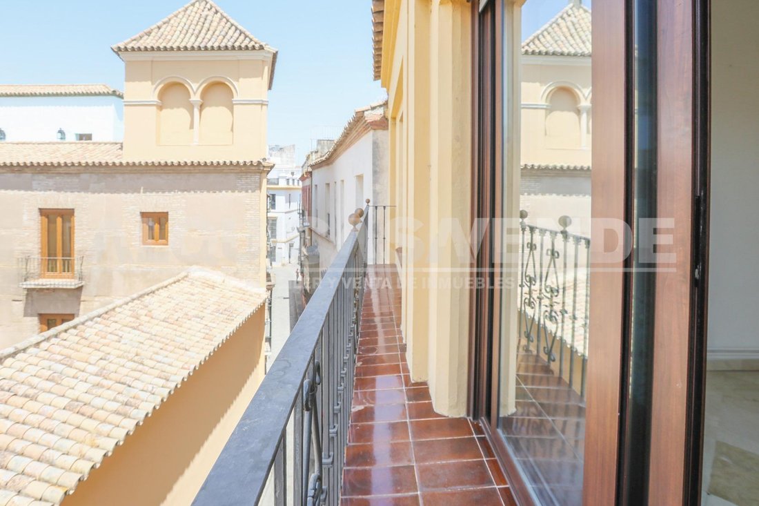 Apartment in Casco Antiguo, Seville, Spain 4 - 18554896