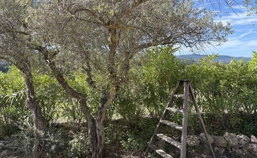 Estate in Carcès, Provence-Alpes-Côte d'Azur, France 1
