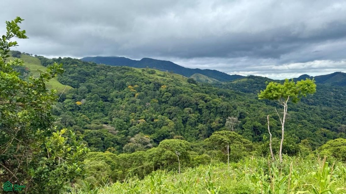 Terrain en Puriscal, Costa Rica 1 - 18579133