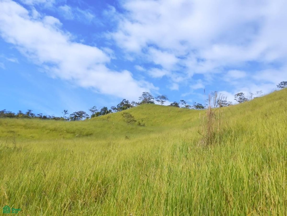 Land in Rivas, San José Province, Costa Rica 2 - 18575783