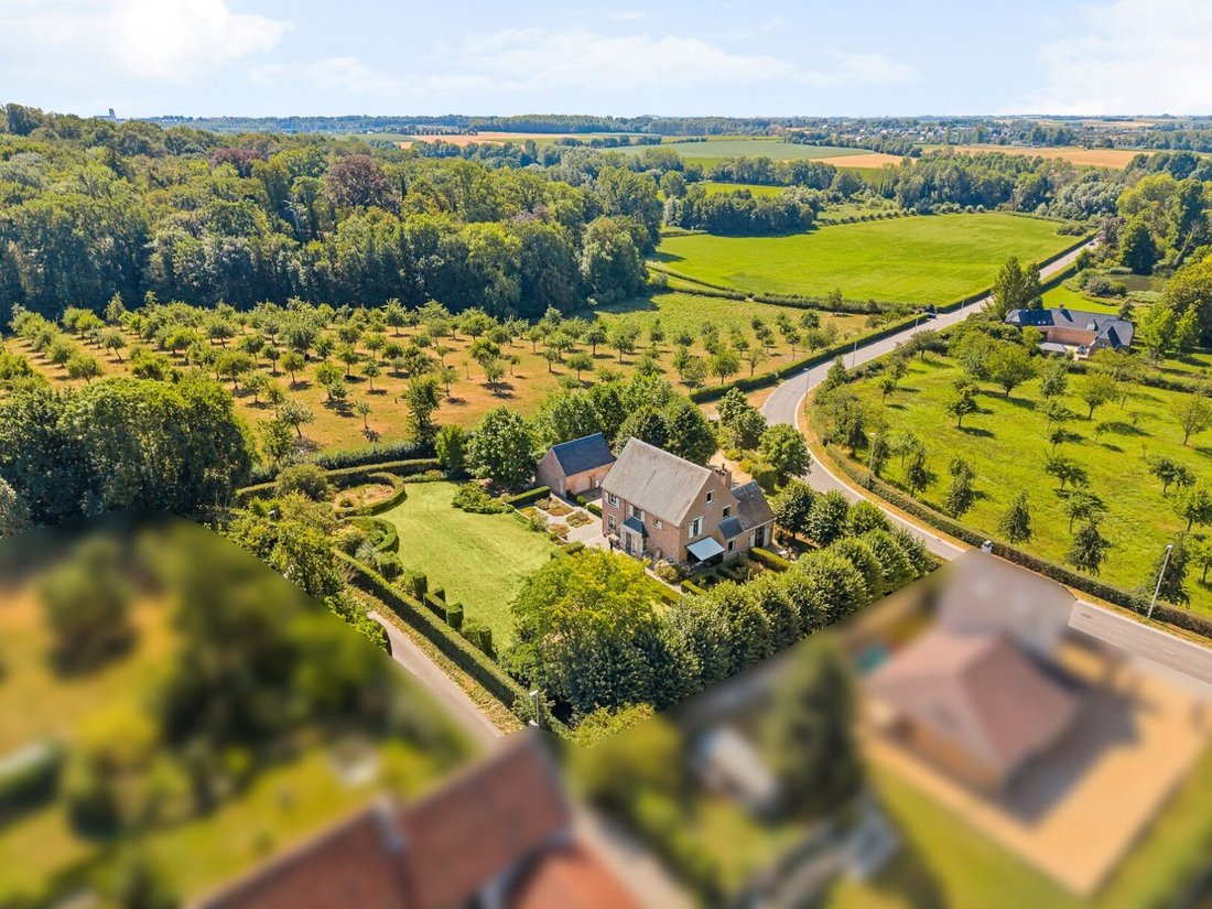 Villa in Tongeren-Borgloon, Flanders, Belgium 2 - 18579860