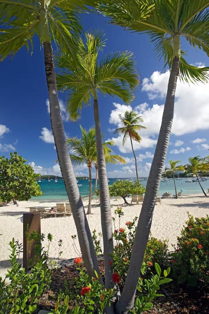 Condo in Red Hook, St. Thomas, U.S. Virgin Islands 1 - 18579816