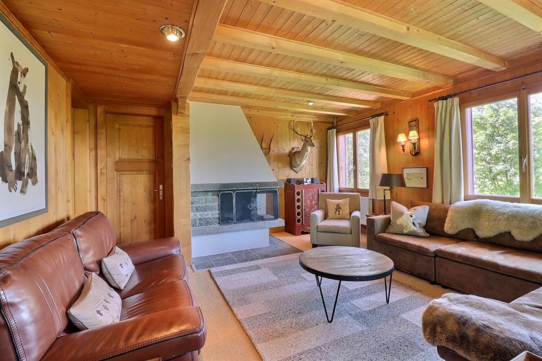 Chalet in Gryon, Vaud, Switzerland 4 - 18580801
