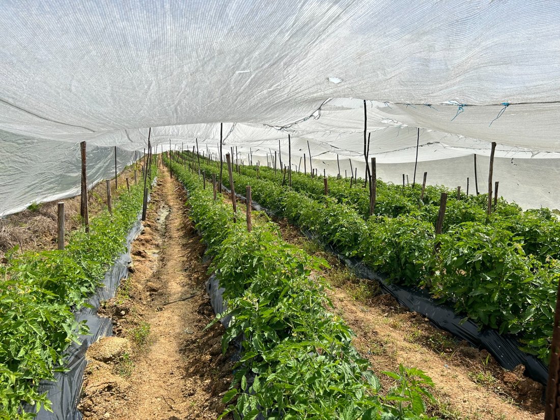 Farm Ranch in Mossel Bay, Western Cape, South Africa 1 - 18581791