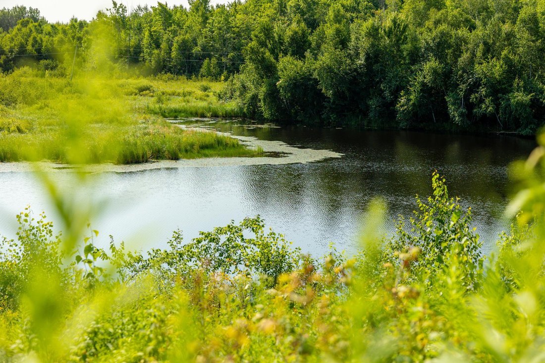Land in Exeland, Wisconsin, United States 1 - 18581595